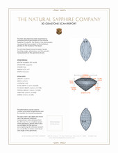 Jewelry 3 D Scan Report