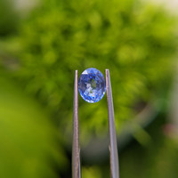 1.51 Ct. Blue Sapphire from Ceylon (Sri Lanka) Life Style