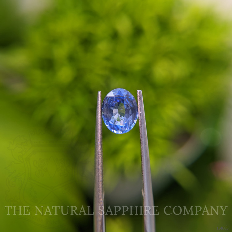1.51 Ct. Blue Sapphire from Ceylon (Sri Lanka)