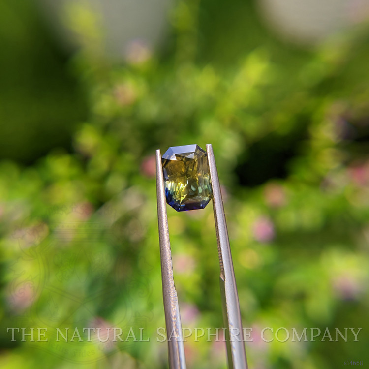 2.86 Ct. Bi Color Sapphire from Ceylon (Sri Lanka)