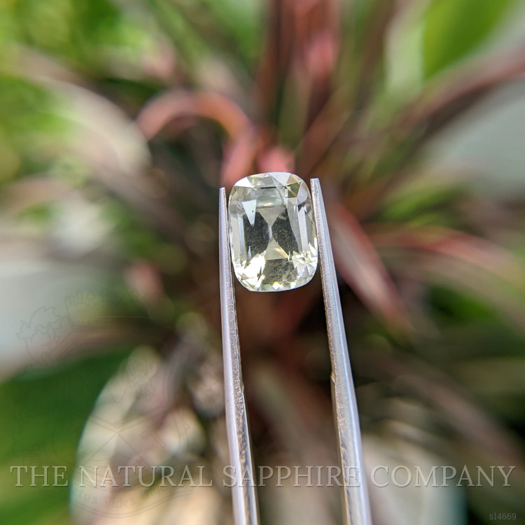 4.50 Ct. Green Sapphire from Ceylon (Sri Lanka)