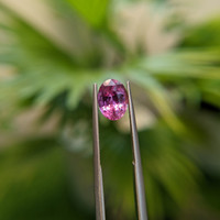 2.23 Ct. Pink Sapphire from Ceylon (Sri Lanka) Life Style
