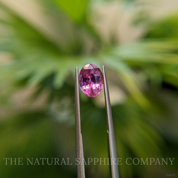 2.23 Ct. Pink Sapphire from Ceylon (Sri Lanka)