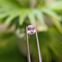 1.18 Ct. Pink Sapphire from Ceylon (Sri Lanka) Life Style
