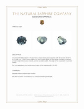 1.19 Ct. Bluish Green Sapphire from Ceylon (Sri Lanka) Appraisal