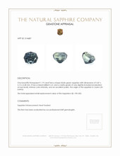 1.19 Ct. Bluish Green Sapphire from Ceylon (Sri Lanka) Appraisal