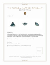 1.11 Ct. Sapphire from Ceylon (Sri Lanka) Appraisal