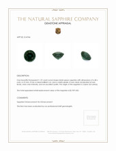 Jewelry Appraisal