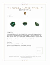 Jewelry Appraisal
