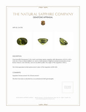 Jewelry Appraisal