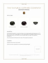 1.64 Ct. Color Change Sapphire from Madagascar Appraisal