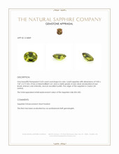 3.03 Ct. Bi Color / Parti Sapphire from Ceylon (Sri Lanka) Appraisal