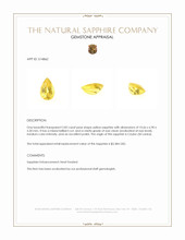 2.82 Ct. Yellow Sapphire from Ceylon (Sri Lanka) Appraisal