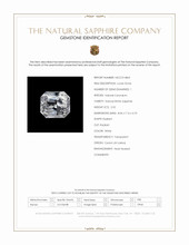 Jewelry Scan Report