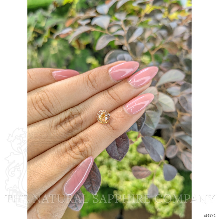 1.72 Ct. Peach Sapphire from Ceylon (Sri Lanka)