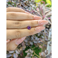 1.07 Ct. Purple Sapphire from Ceylon (Sri Lanka) Life Style