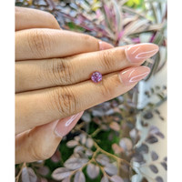 1.38 Ct. Purplish Pink Sapphire from Ceylon (Sri Lanka) Life Style