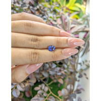1.46 Ct. Blue Sapphire from Ceylon (Sri Lanka) Life Style