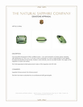 Jewelry Appraisal