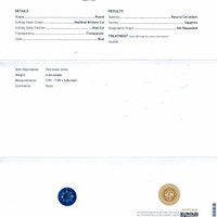 Jewelry Scan Report