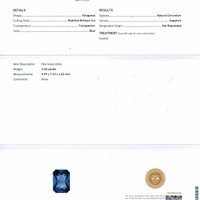 Jewelry Scan Report