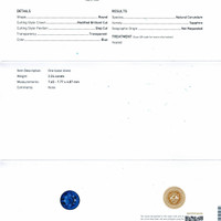 Jewelry Scan Report