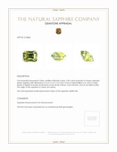 0.83 Ct. Yellowish Green Sapphire from Ceylon (Sri Lanka) Appraisal