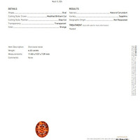 Jewelry Scan Report