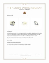Jewelry Appraisal