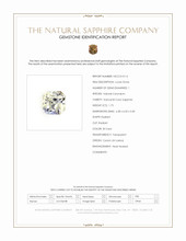 Jewelry Scan Report