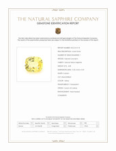 Jewelry Scan Report