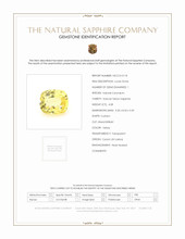 Jewelry Scan Report