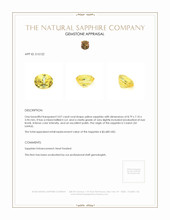3.07 Ct. Yellow Sapphire from Ceylon (Sri Lanka) Appraisal