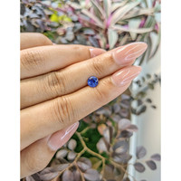 0.95 Ct. Blue Sapphire from Ceylon (Sri Lanka) Life Style