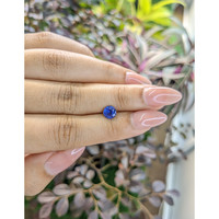 0.95 Ct. Blue Sapphire from Ceylon (Sri Lanka) Life Style