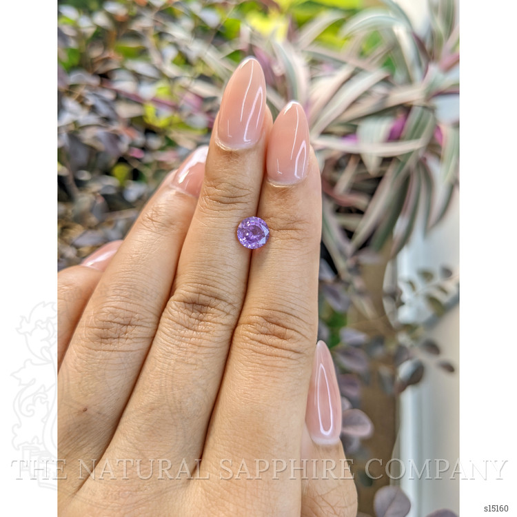 1.51 Ct. Purple Sapphire from Ceylon (Sri Lanka)