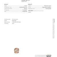 Jewelry Scan Report