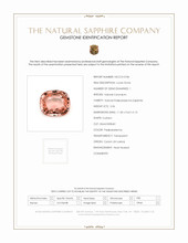Jewelry Scan Report