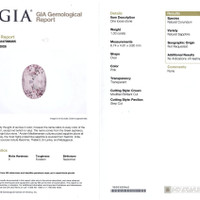 Jewelry Scan Report