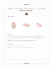 Jewelry Appraisal