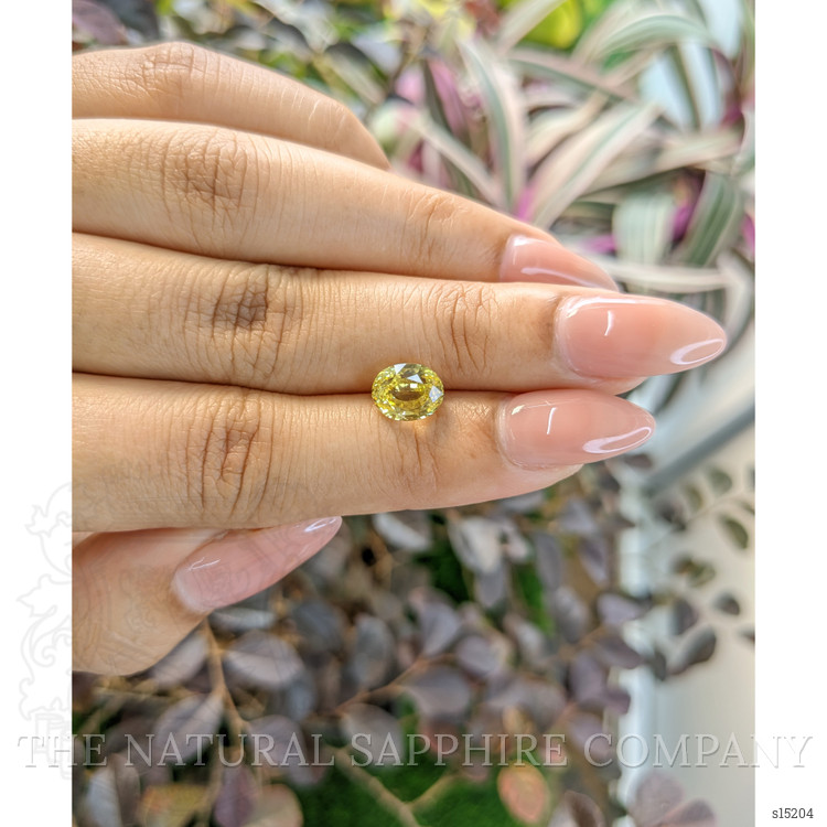 2.67 Ct. Yellow Sapphire from Ceylon (Sri Lanka)