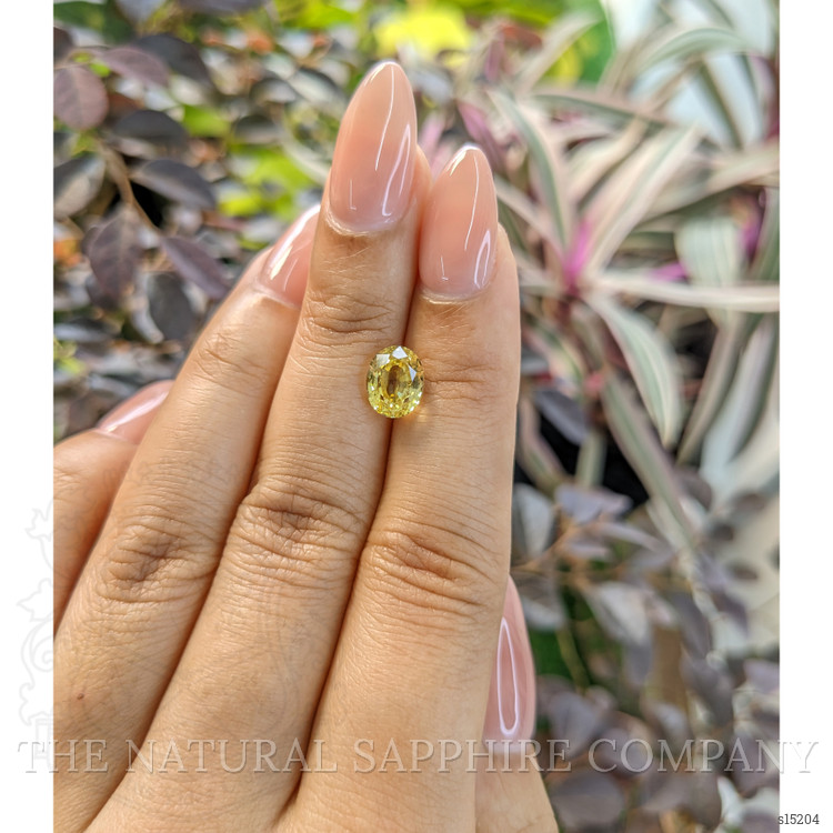 2.67 Ct. Yellow Sapphire from Ceylon (Sri Lanka)