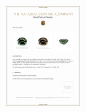 3.07 Ct. Color Change Sapphire from Tanzania Appraisal