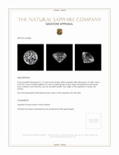 Jewelry Appraisal