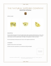 Jewelry Appraisal