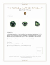 Jewelry Appraisal