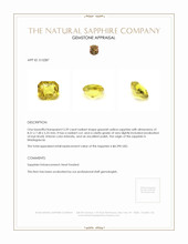 3.39 Ct. Greenish Yellow Sapphire from Madagascar Appraisal