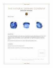 12.23 Ct. Blue Sapphire from Ceylon (Sri Lanka) Appraisal