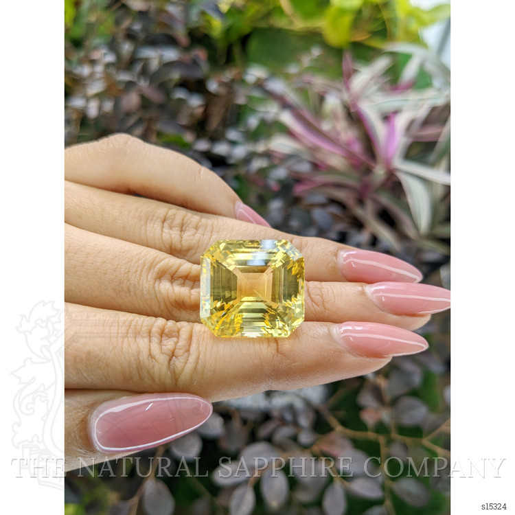 51.03 Ct. Yellow Sapphire from Ceylon (Sri Lanka)