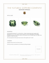 3.11 Ct. Bluish Green Sapphire from Ceylon (Sri Lanka) Appraisal